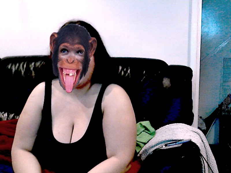 Avatar for I'm feisty onLumia stream link page