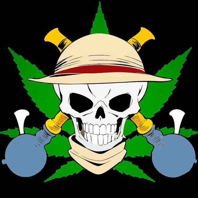 Avatar for PirateKingPokit's bio onLumia stream link page