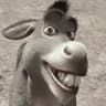 Donkey avatar