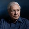 David Attenborough - National Geographic avatar